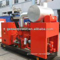 250KVA Generator Produce Electric Power From Biofuel